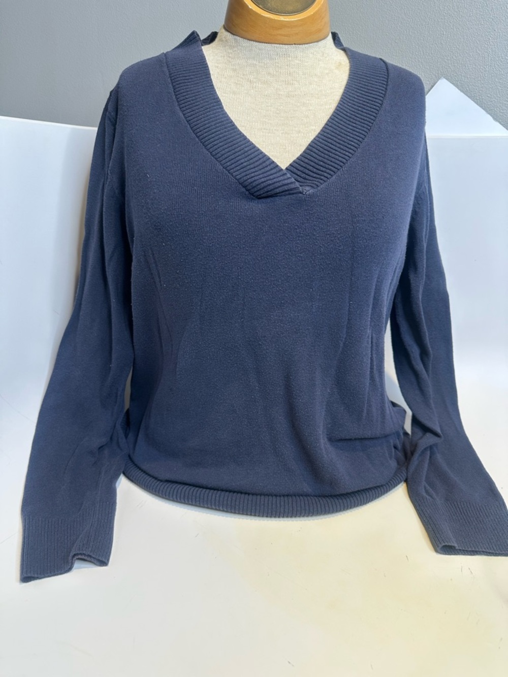GAP Women's V-Neck Sweater in Navy Blue